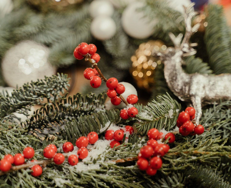 Pre-Lighted Christmas Trees for Sale: Everything You Need to Know